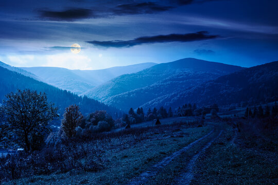 countryside mountain landscape in autumn. weathered grassy field on a hill near forest. rural night background. alpine highland of ukraine in full moon light
