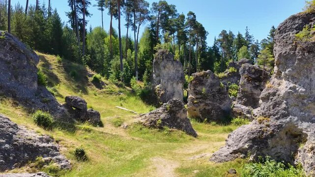 Luftaufnahme des Felsenmeers im Wental mit markanten Felsformationen aus Jurakalk, umgeben von einem dichten Nadelwald und Wanderwegen auf der Schw&auml;bischen Alb bei Sonnenschein.