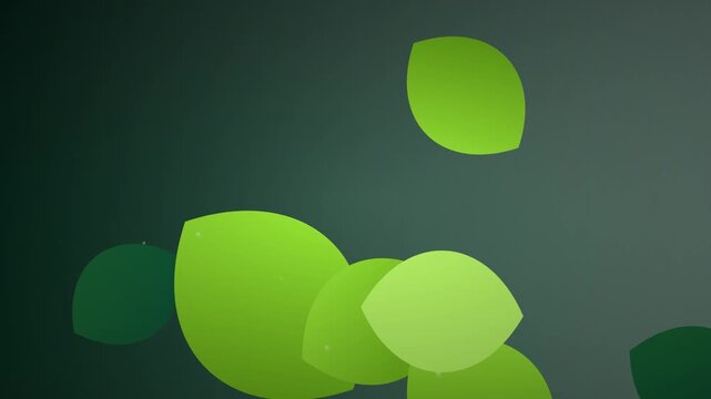 modern eco shining leaf vector background loop
