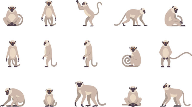 Comprehensive collection of flat vector monkey character poses and actions for animation and graphic projects