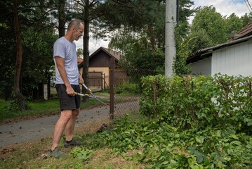 Osoba przycina żywopłot nożycami ręcznymi w przydomowym ogrodzie w słoneczny letni dzień © siwyk