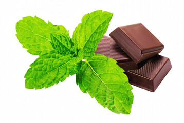 Fresh Green Mint Leaves and Dark Chocolate Pieces © Ara
