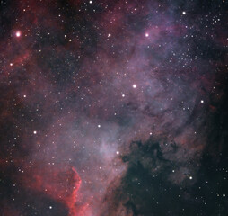 NGC7000 Nordamerikanebel © Roland Schreiber