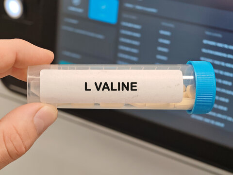 L VALINE amino acid supplement for amino acid nutrition metabolism and physiological support tablets in laboratory
