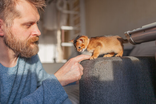 Bearded man gently interacting with tiny Abyssinian kitten extending his finger towards it. Warm, natural sunlight, atmosphere of companionship and care.