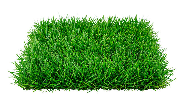 Square patch of fresh green grass isolated on black background