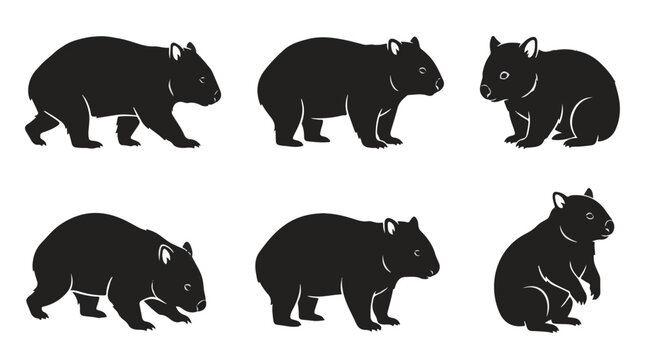 A set of six wombat in various poses silhouette vector illustration on a white background
