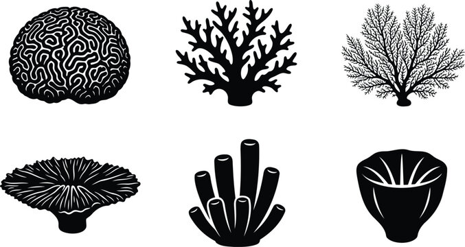 Set of black coral reef sea life icons