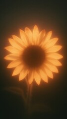 Obraz premium Glowing sunflower with soft, warm light mobile wallpaper
