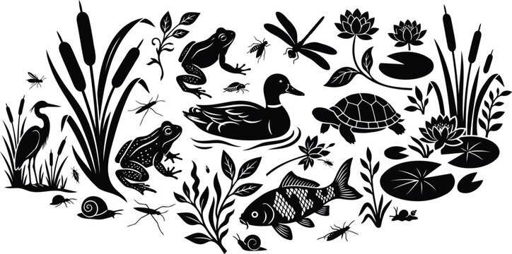 Black and white pond wildlife illustration with animals