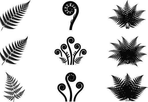 Black fern leaf silhouettes and sprout icons collection