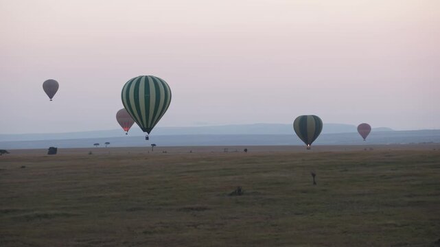 Slow motion aerial landscape of Maasai Masai Mara national park wildlife reserve in Kenya, Africa as hot air balloon safari above golden sunlight sunrise morning rise above safari African grassland 4k