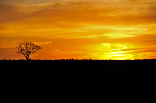 Por do sol