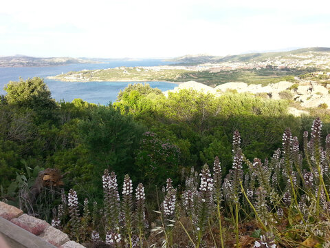 vista panoramica del mare che collega la Sardegna con la Corsica