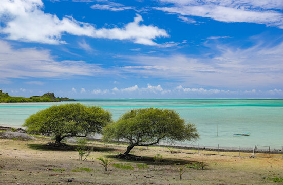 Scenic landscape of Pointe Palmiste Beach on Rodrigues Island, Mauritius. Beautiful landscape of Rodrigues Island	