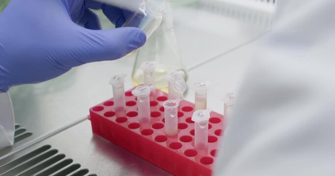 A scientist transfers liquid from a glass flask into a small plastic test tube in a stand using a dispenser.