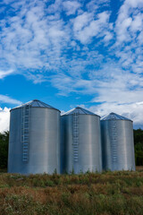 Three modern corrugated steel grain silos standing in a row on a farm field. Agricultural storage tanks with ladders under a blue sky with white clouds. Industry and farming concept. © Fotoforce
