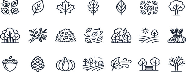 Golden autumn leaves and fall foliage thin line icons vector set. © Itz Rakesh