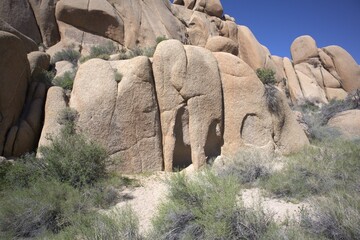 Granite boulder formations in the desert, Joshua Tree National Park © Sean