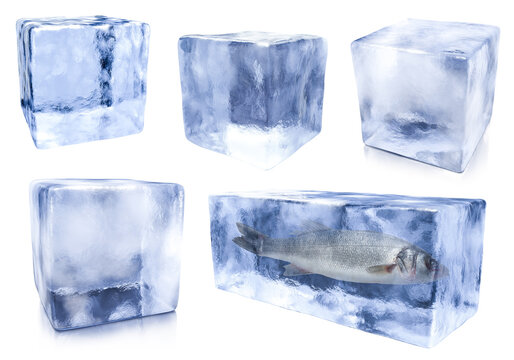 Ice cubes isolated on white, set. One with fish inside