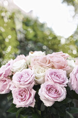 Fototapeta premium Beautiful bouquet of roses outdoors, closeup. Pastel toning