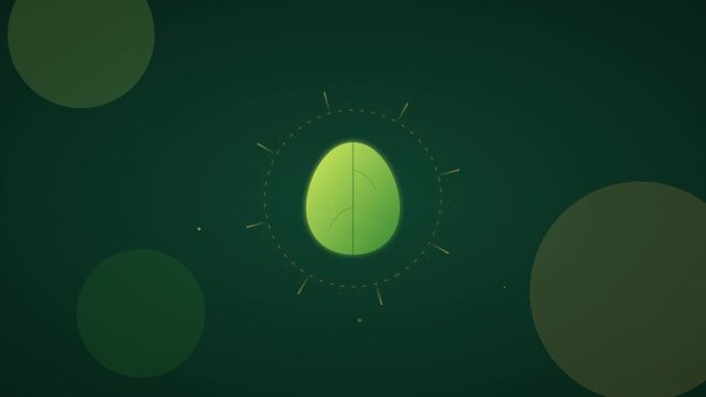 Organic Renewable Energy Leaf Sustainability Eco Friendly Animation