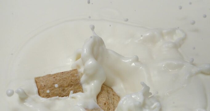Cereal pillows falling into milk or yogurt with splash in slow motion 1000 fps
