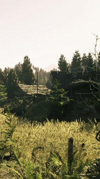 Rustic buildings sit on a hillside surrounded by tall grass and trees. The sun rises in the background, shining light on the landscape. It is morning in a serene outdoor setting.