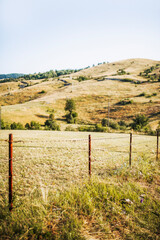 Fototapeta premium Rusty Barbed Wire Fence Post in a Dry Rural Field
