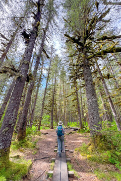 Kenai Hiker