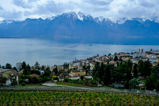 Elevated, high-angle panoramic landscape overlooking the resort town of Montreux, Switzerland, nestled along the shores of Lake Geneva (Lac L&eacute;man). The foreground features rolling terraced vineyard sl