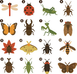 Obraz premium Autumn Insects Icon Set Illustration Collection