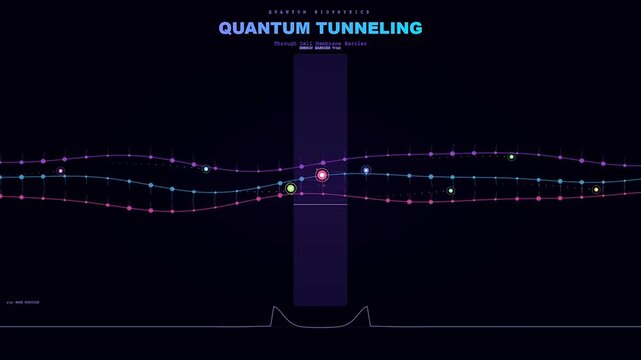 A sophisticated simulation of biotech quantum computing demonstrates the complex movement of particles and waves as they pass through a dark biological barrier.