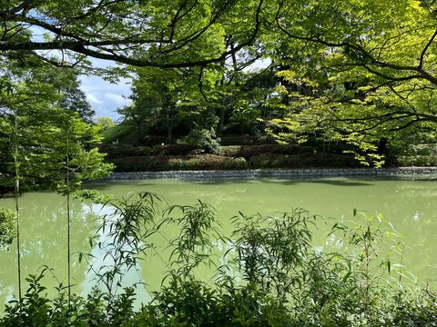 松山城の堀