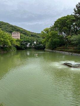 松山城の堀
