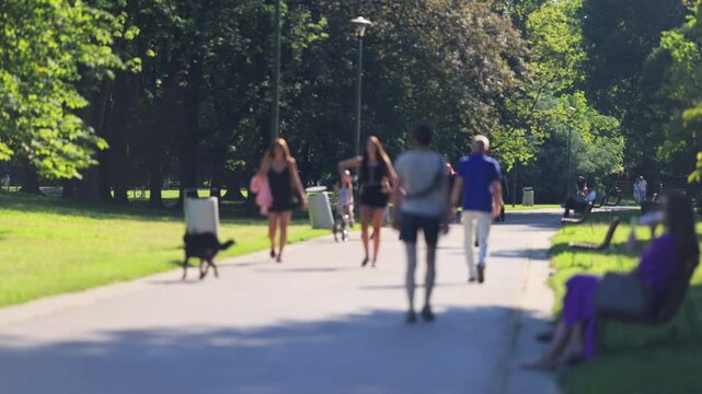 Unrecognizable people walking on the streets of Warsaw. People walking in the park. Sunny, hot, summer weather.