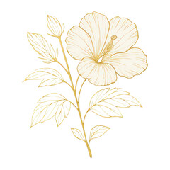 Obraz premium PNG Elegant gold hibiscus illustration