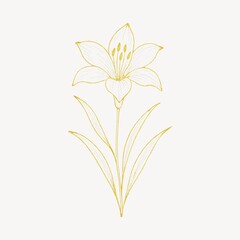 Obraz premium Elegant floral line art illustration