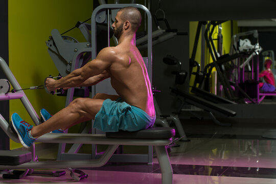 Male Bodybuilder Doing Heavy Weight Exercise For Back