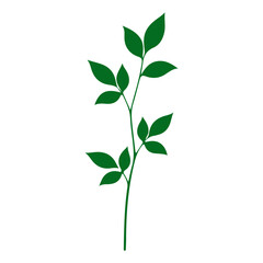 Fototapeta premium Green Plant Stem with Multiple Leaves for Nature and Environment Themes.