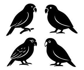 Fototapeta premium Set of kakapo bird icons in silhouette design