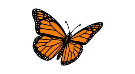 Fototapeta premium Monarch butterfly vector illustration isolated on white background