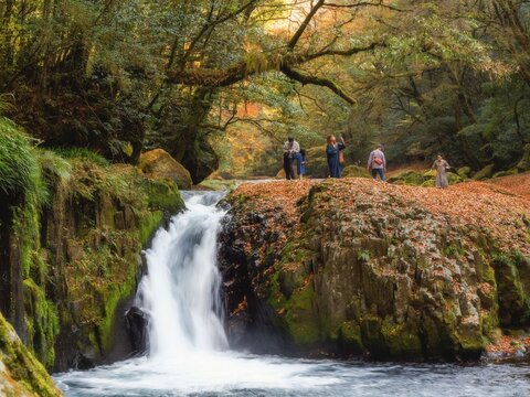 Kikuchi Valley Waterfall in Autumn, Kumamoto