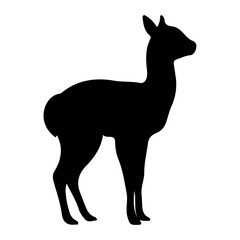 Fototapeta premium Silhouette of a Llama Standing on White Background.