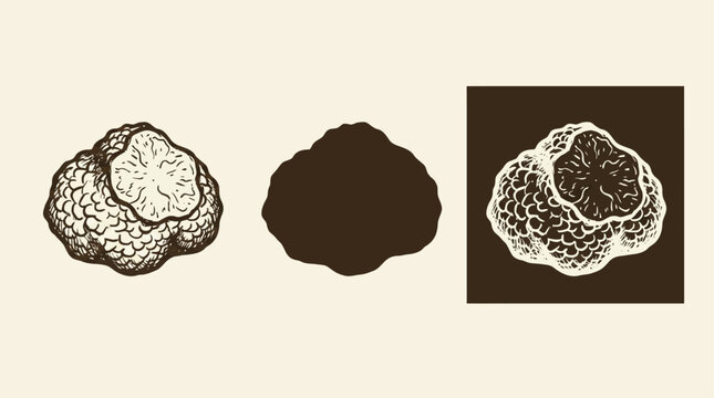 Artistic Minimalist Truffle Mushroom Illustration Featuring Clean Black Outline Silhouette and Modern Negative Space Graphic Design Element for Gourmet Culinary Branding and Menu Decoration
