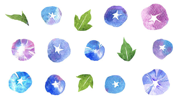 綺麗な朝顔の花と葉の手描き水彩イラストパーツセット（夏・あさがお・アイコン素材）
Beautiful morning glory flowers and leaves hand-drawn watercolor illustration parts set (Summer, Morning glory)