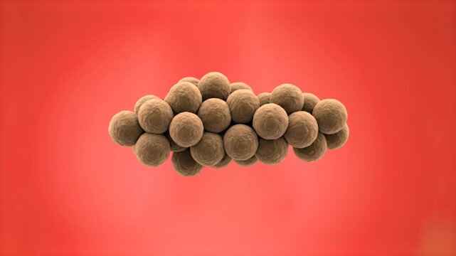 A 3D microscopic animation showing a grape-like cluster of staphylococcus bacteria cells floating against a solid red background. Perfect for scientific documentaries, blood infection concepts, and me