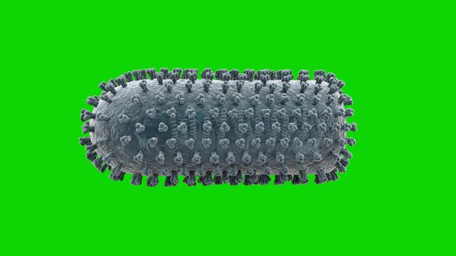 A highly detailed 3D microscopic render of a bullet-shaped rabies virus (Lyssavirus) particle, isolated against a chroma key green screen background. Perfect for medical news, virology research, and i