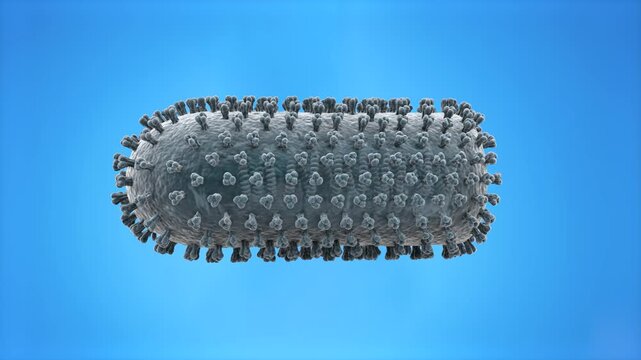 Detailed 3D model of a bullet-shaped Rabies virus particle (Lyssavirus virion) covered with glycoprotein spikes, isolated on a bright solid blue background. Ideal for virology documentaries, medical h