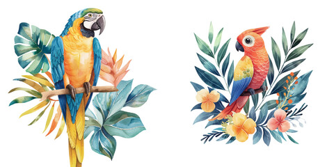 parrot and tropical leaves watercolor vector illustration © Dar